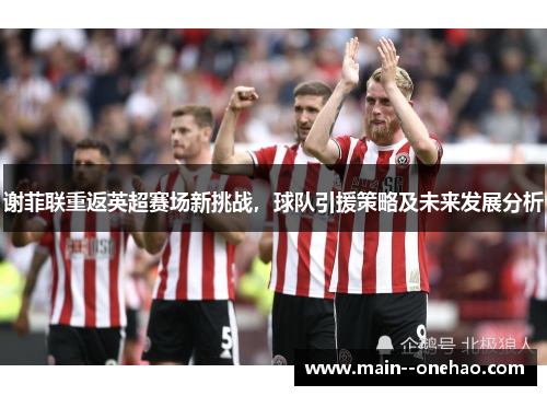 谢菲联重返英超赛场新挑战，球队引援策略及未来发展分析
