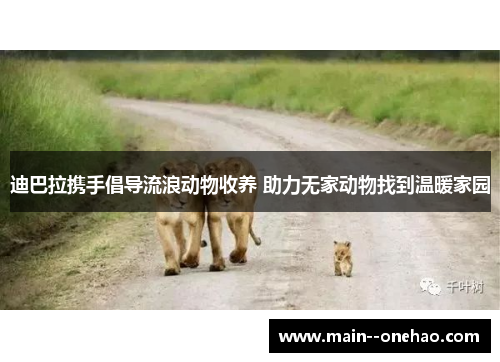 迪巴拉携手倡导流浪动物收养 助力无家动物找到温暖家园