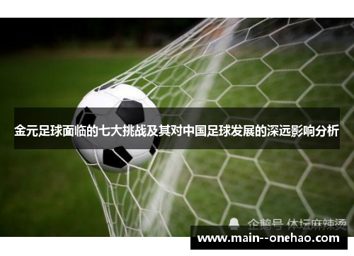 金元足球面临的七大挑战及其对中国足球发展的深远影响分析
